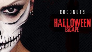 Halloween 2016 @ discoteca Coconuts