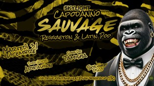 Capodanno 2025 @ discoteca Skylight!