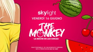 The Monkey - Reggaeton & Latino at Skylight Disco