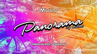 Panorama City Heartbeat / MOLO