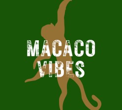 Macaco Vibes Lounge Bar