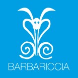 Barbariccia beach